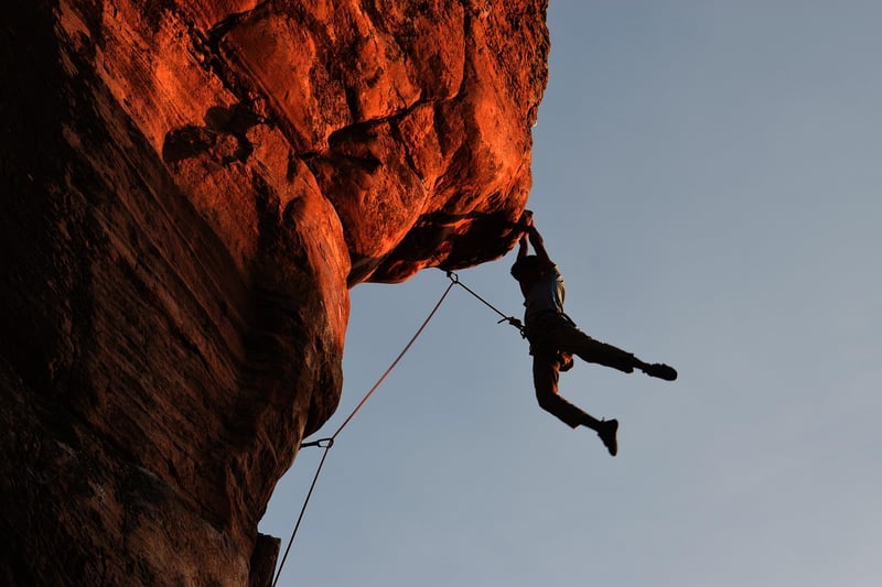 Climbing the Corporate Ladder